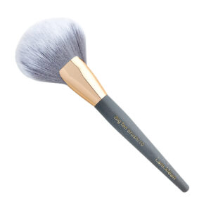big fan brush 10